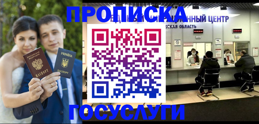 прописка штамп в Александровске